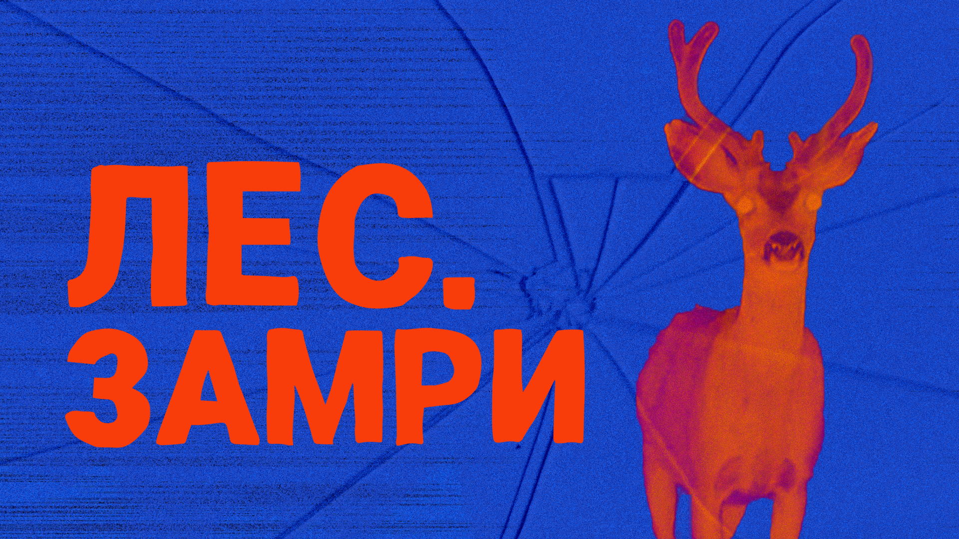 Спектакль "Лес. Замри" ( 2026)