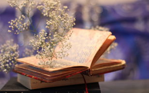 Забытая книга
