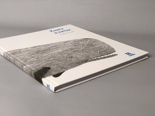 Большой барьерный риф и вечеринка медуз