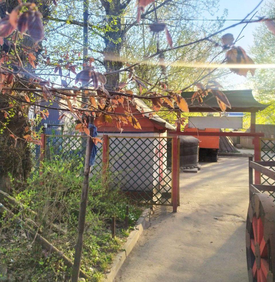 Цикл программ по этнографии народов мира "В гостях у кочевников. Часть 1" в Музее кочевой культуры. Годовой абонемент. 8+