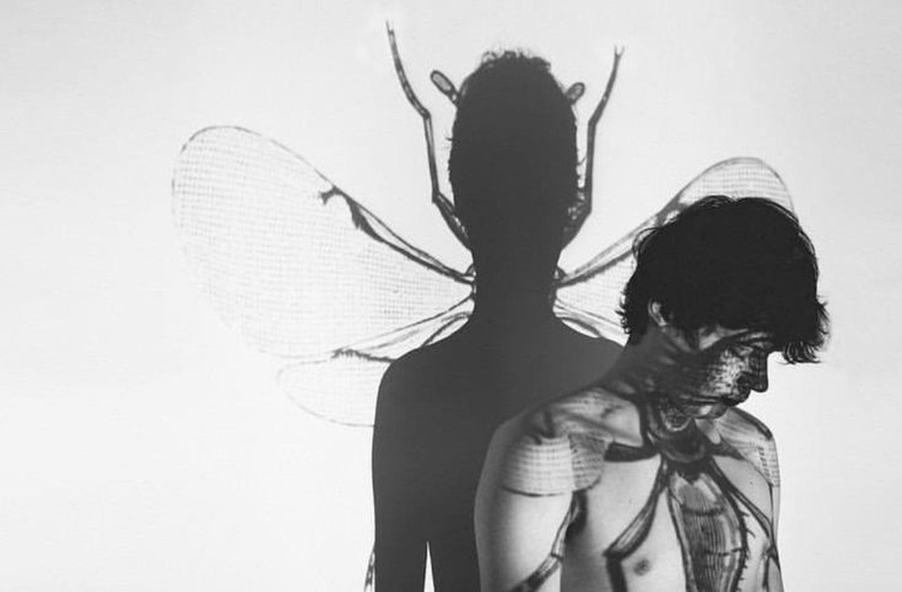 Хоровой спектакль «Стрекоза и муравей: страшные сказки леса»