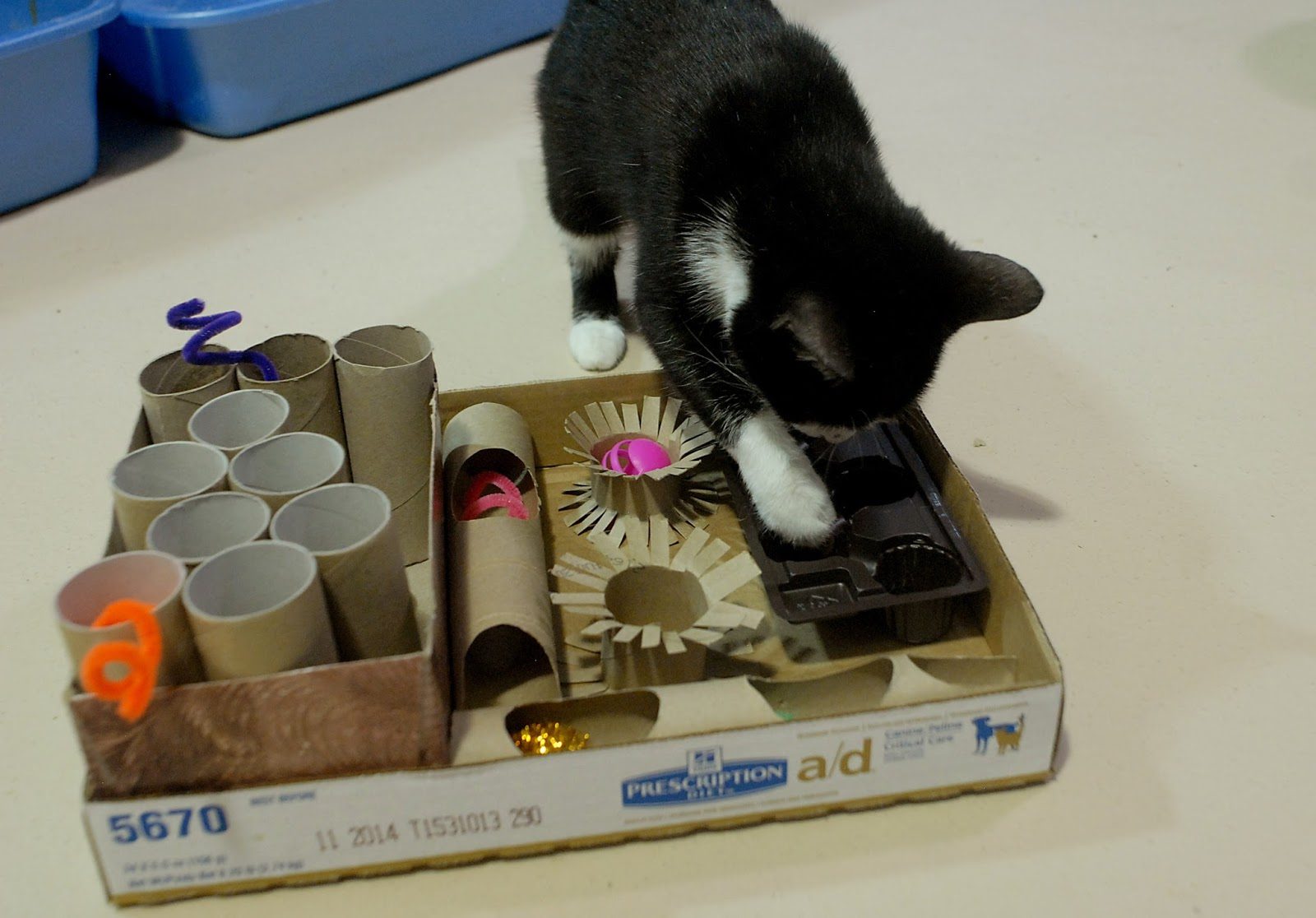 Мастер-класс «Секрет счастливой кошки: создайте тренажер от скуки и старения»