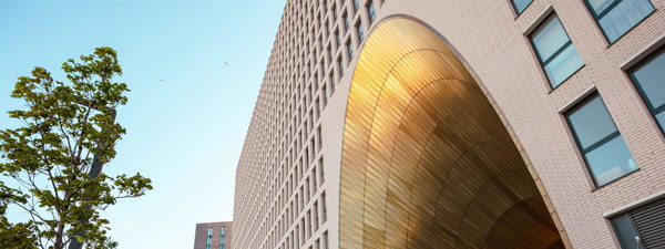 Вау-прогулка от ЗИЛарта до Павелецкой