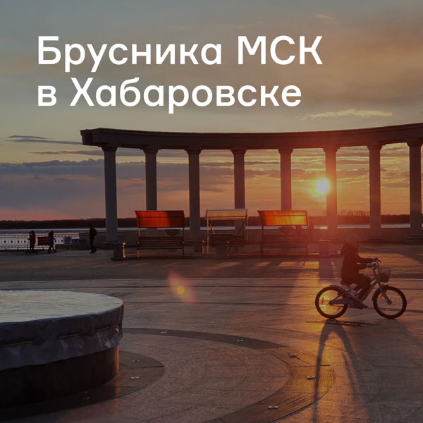 Брусника МСК в Хабаровске