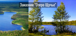 Поход медитация в заказнике "Озеро Щучье" в 30 мин езды на электричке от Санкт-Петербурга.