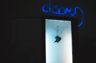 Клуб Любительского Тифлокомментария