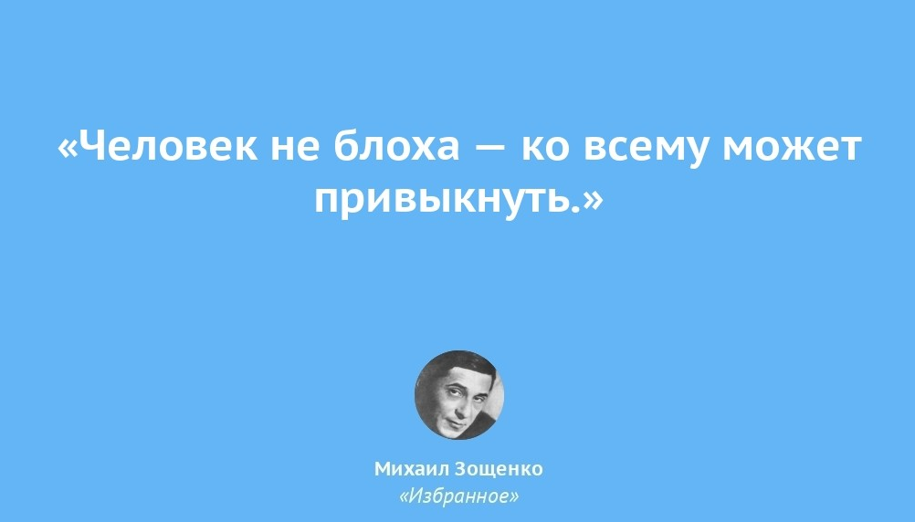 Человек не блоха, ко всему привыкает