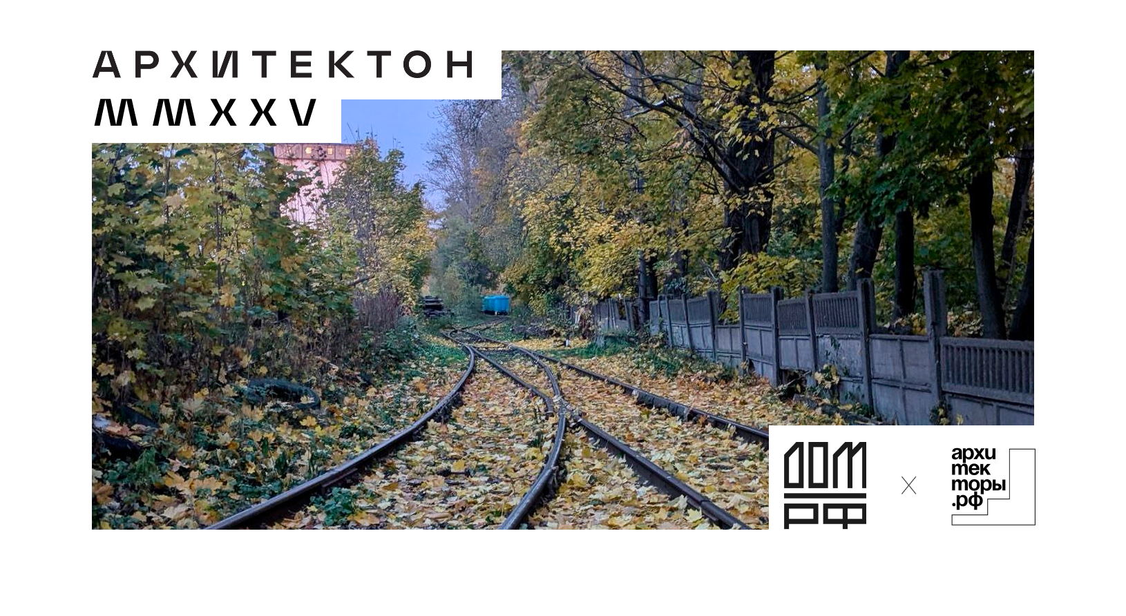 В октябре на пустыре: что происходит в постиндустриальных ландшафтах осенью