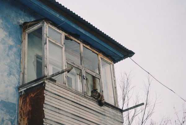 Где я пригодился (ЧТИВО Дом)