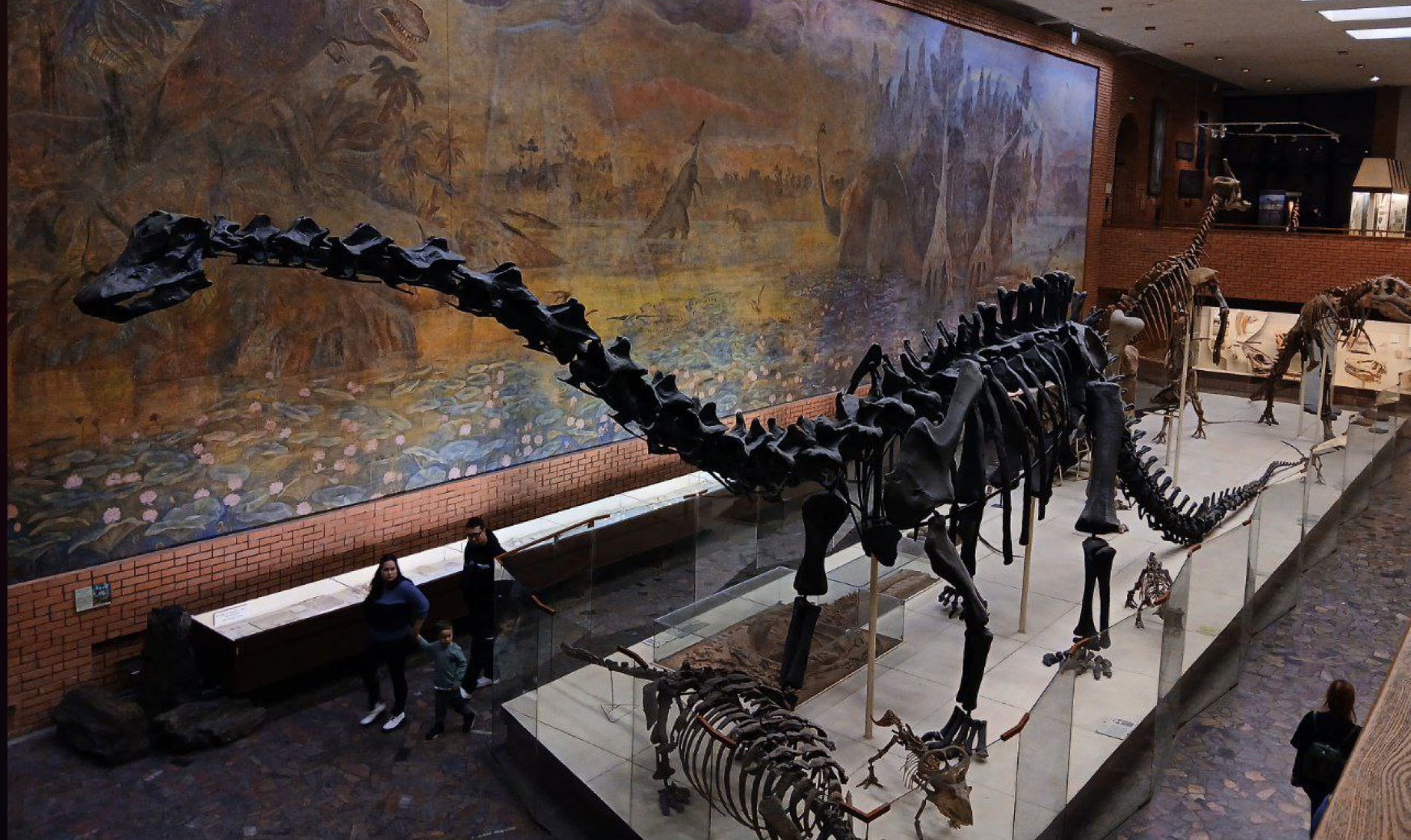 в 14:00 Авторская экскурсия "Великаны прошлого" с палеоподарками в Палеонтологическом музее им. Ю.А. Орлова. 6-10 лет