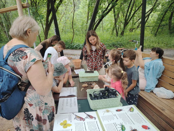 Экологические игры в Черняевском лесу
