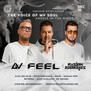 Вечеринка электронной музыки THE VOICE OF MY SOUL 