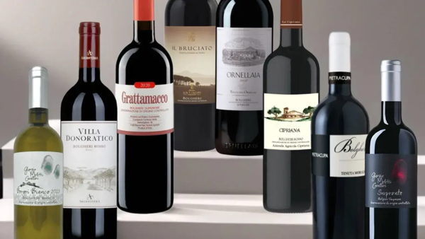 Дегустация вин Bolgheri