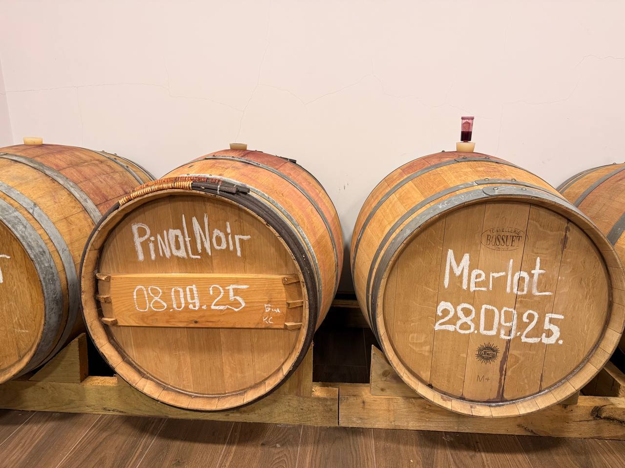 Поездка на винодельню в Московской области