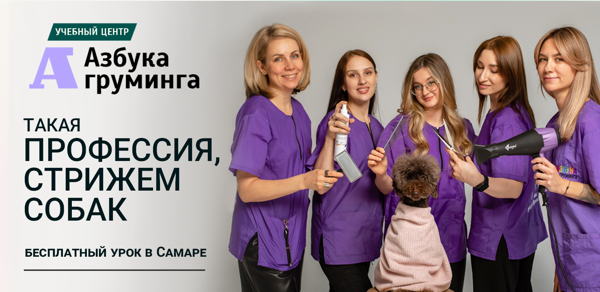 Знакомство с профессией "Грумер"