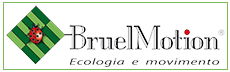 Bruel Motion