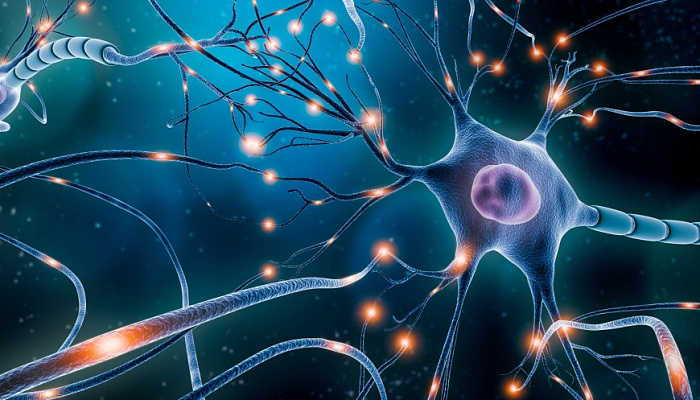 умный город санкт-петербург. международный национальный фото. проект открытый город санкт-петербург. семинар в санкт-петербурге. тренд новостройки.