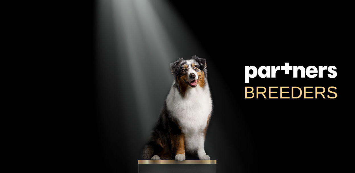 Семинар Pаrtners Breeders с РКФ в Казани