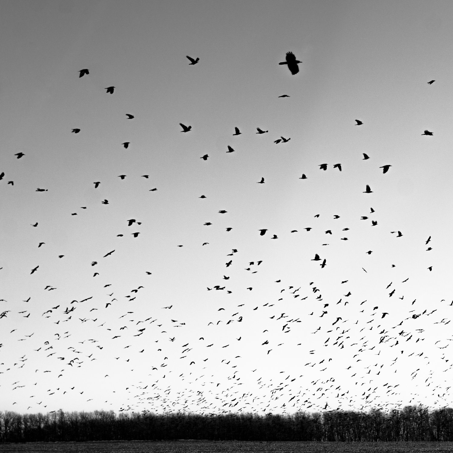 Триллер: искусство напряжения | Литературный лекторий