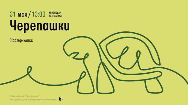 Краснодар! Мастер-класс "Черепашки"