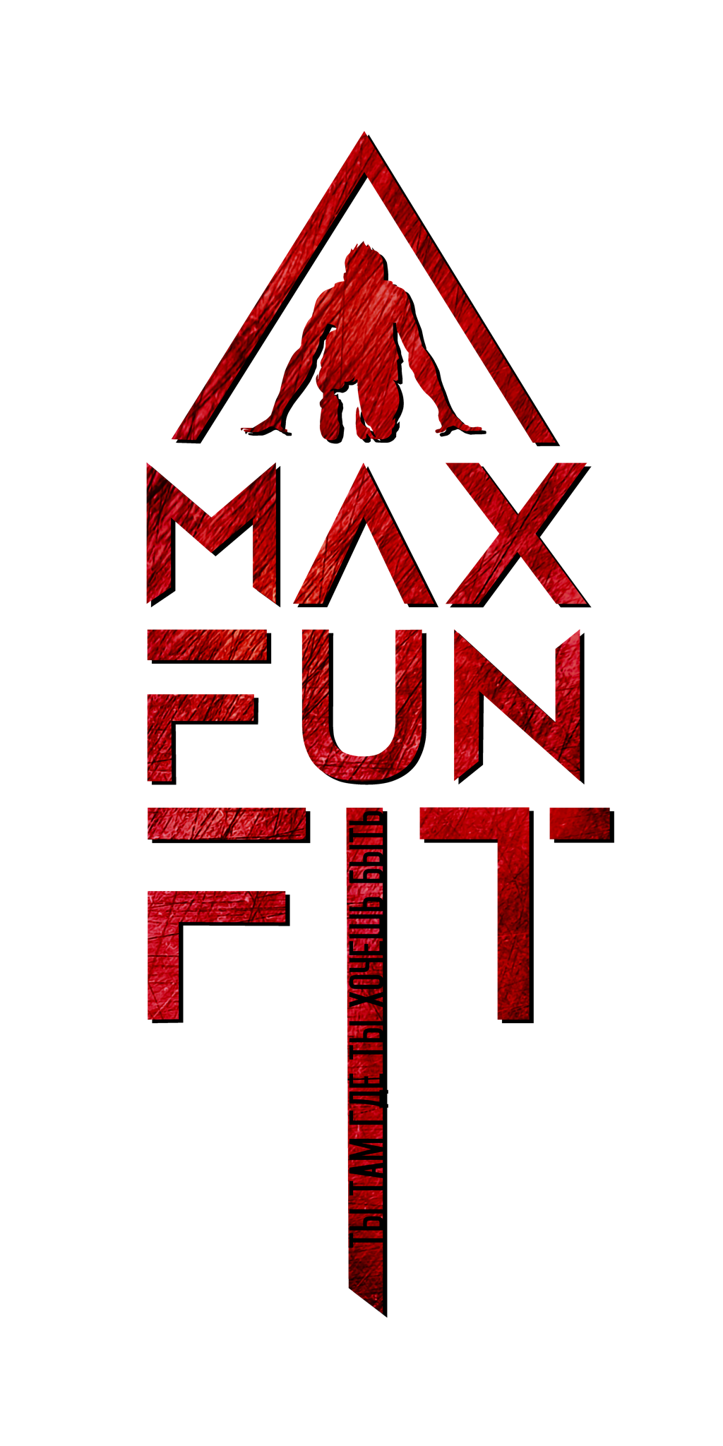 MaxFunFit