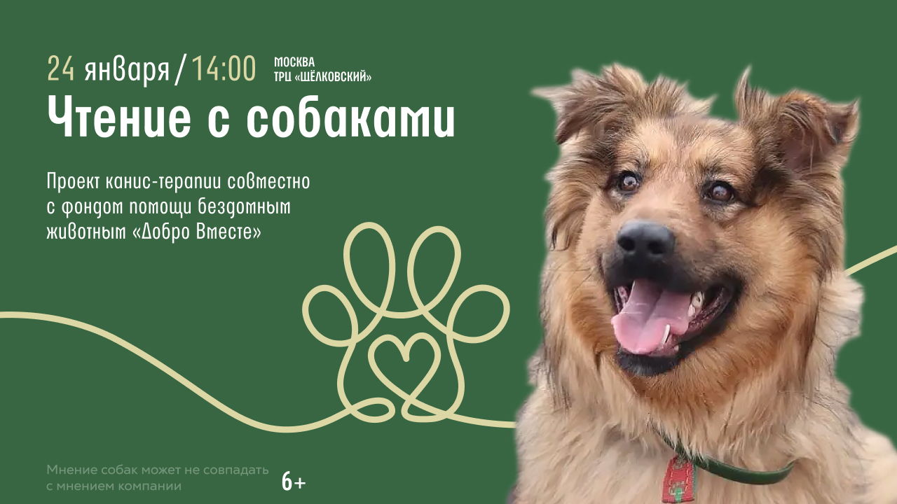 Москва. Щелковский. Чтение с собаками