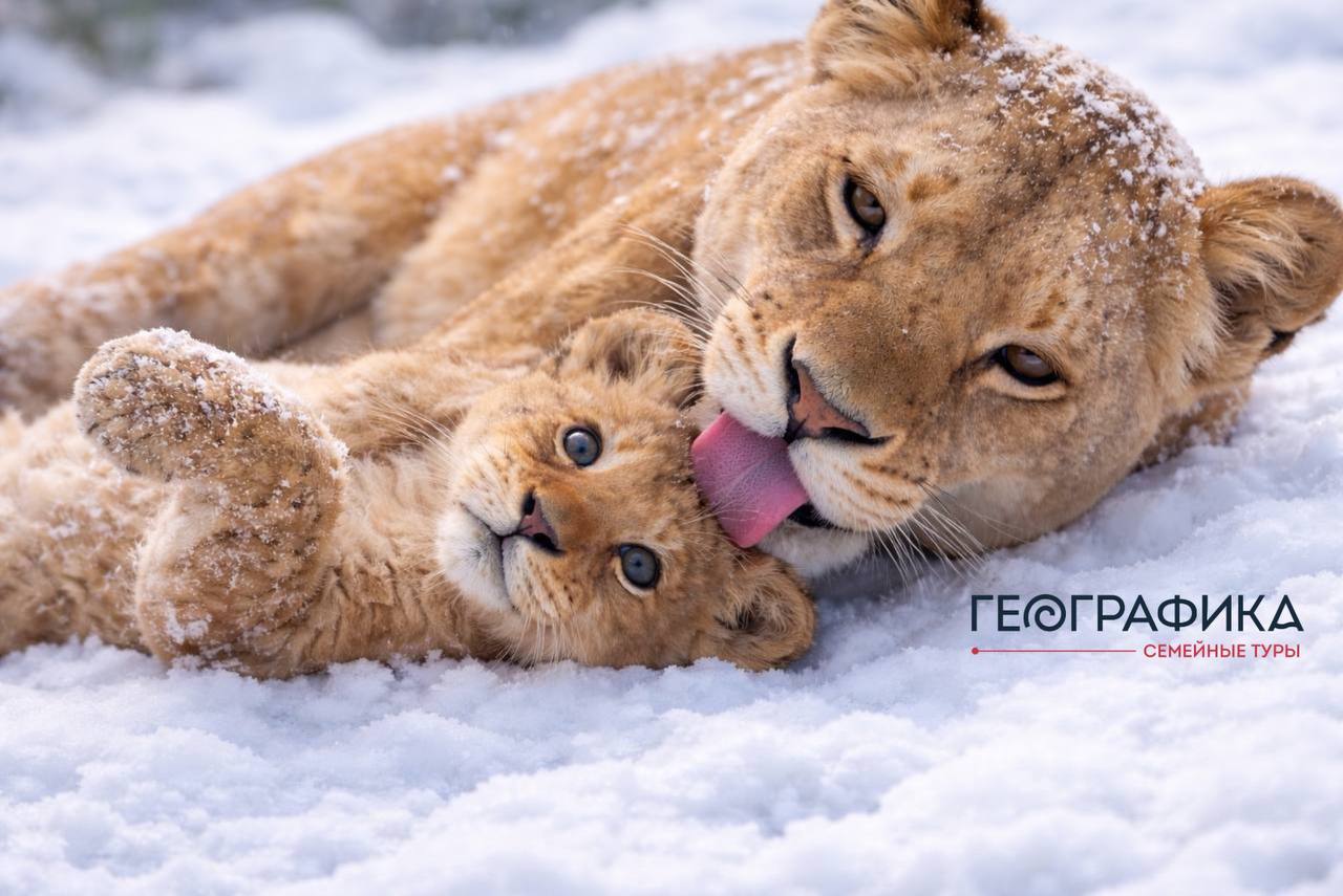 Экскурсия с гидом-биологом для родителей и детей в парк «Земля Прайда» 6+