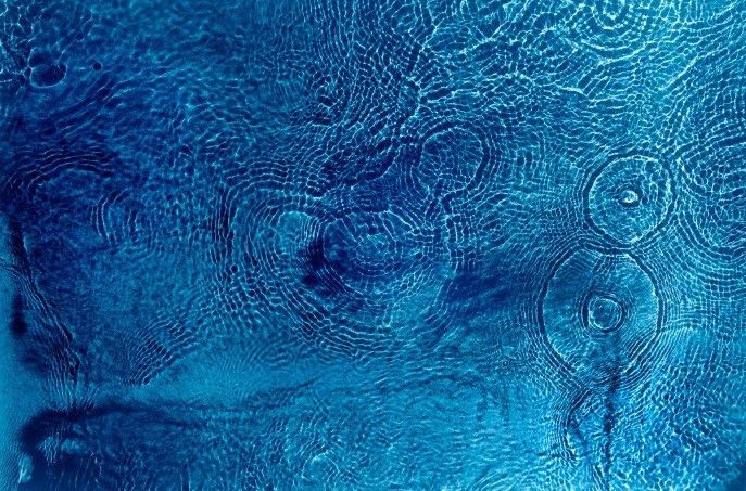 ЛЕКЦИЯ О ФОТОГРАФИИ «ВИЗУАЛЬНЫЙ ЯЗЫК ВОДЫ: ОТ ДОКУМЕНТАЛИСТИКИ ДО СОВРЕМЕННОГО ИСКУССТВА»