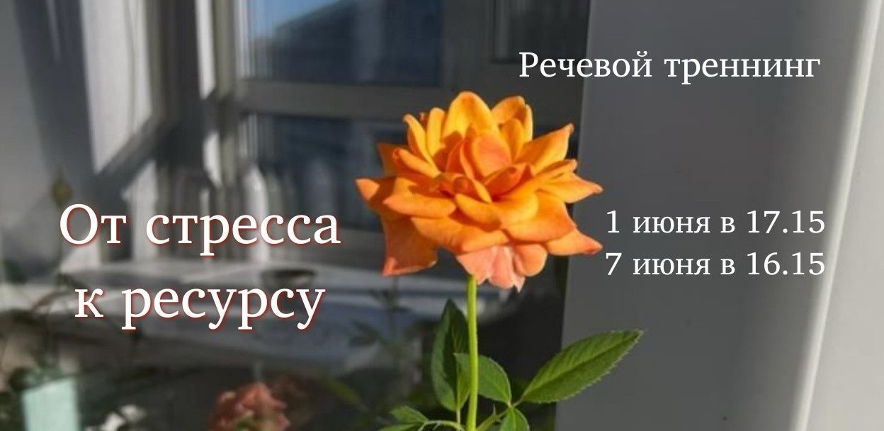 Речевой тренинг