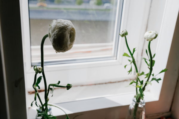 Вдохновение в трех измерениях: Плисецкая, Шанель, Шаховская