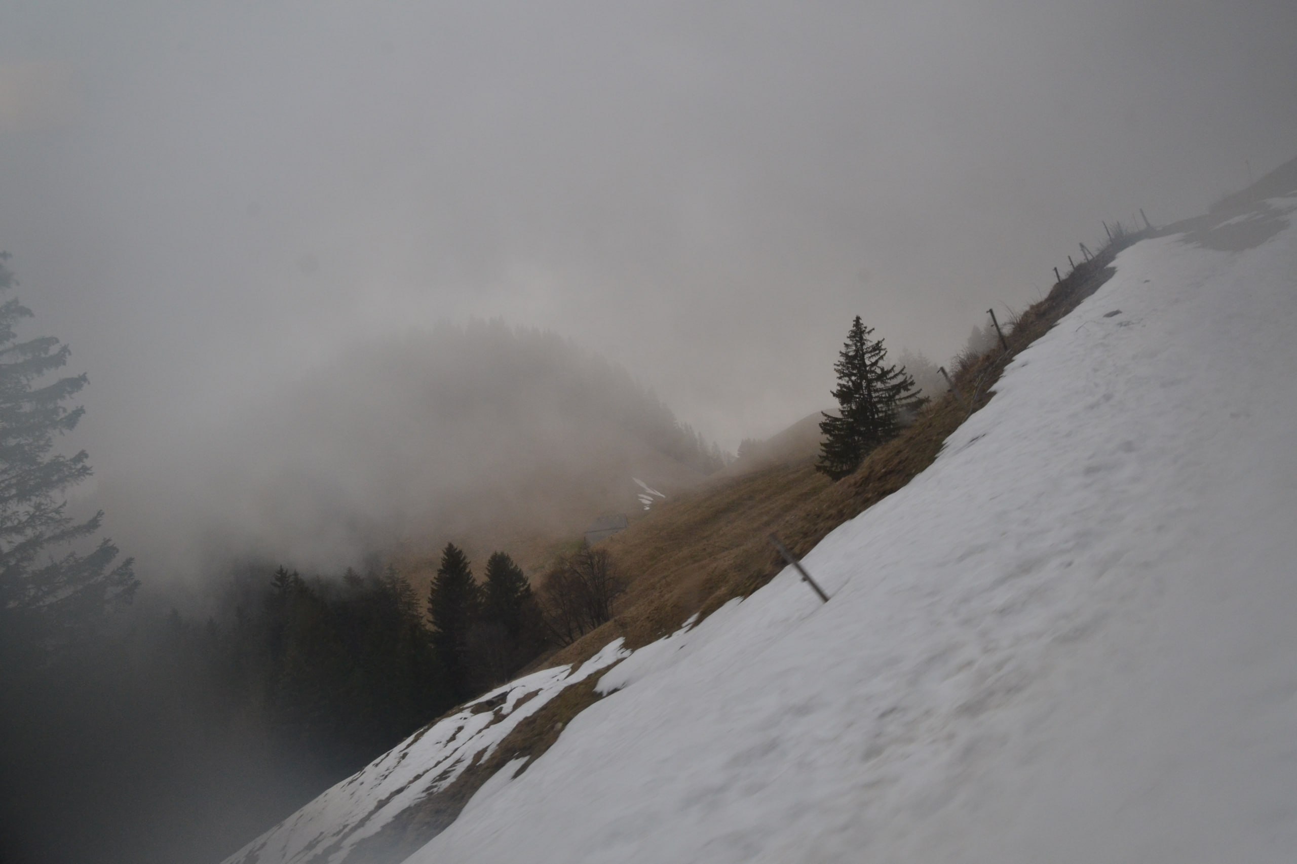 Поэтики земли: «ленц» георга бюхнера