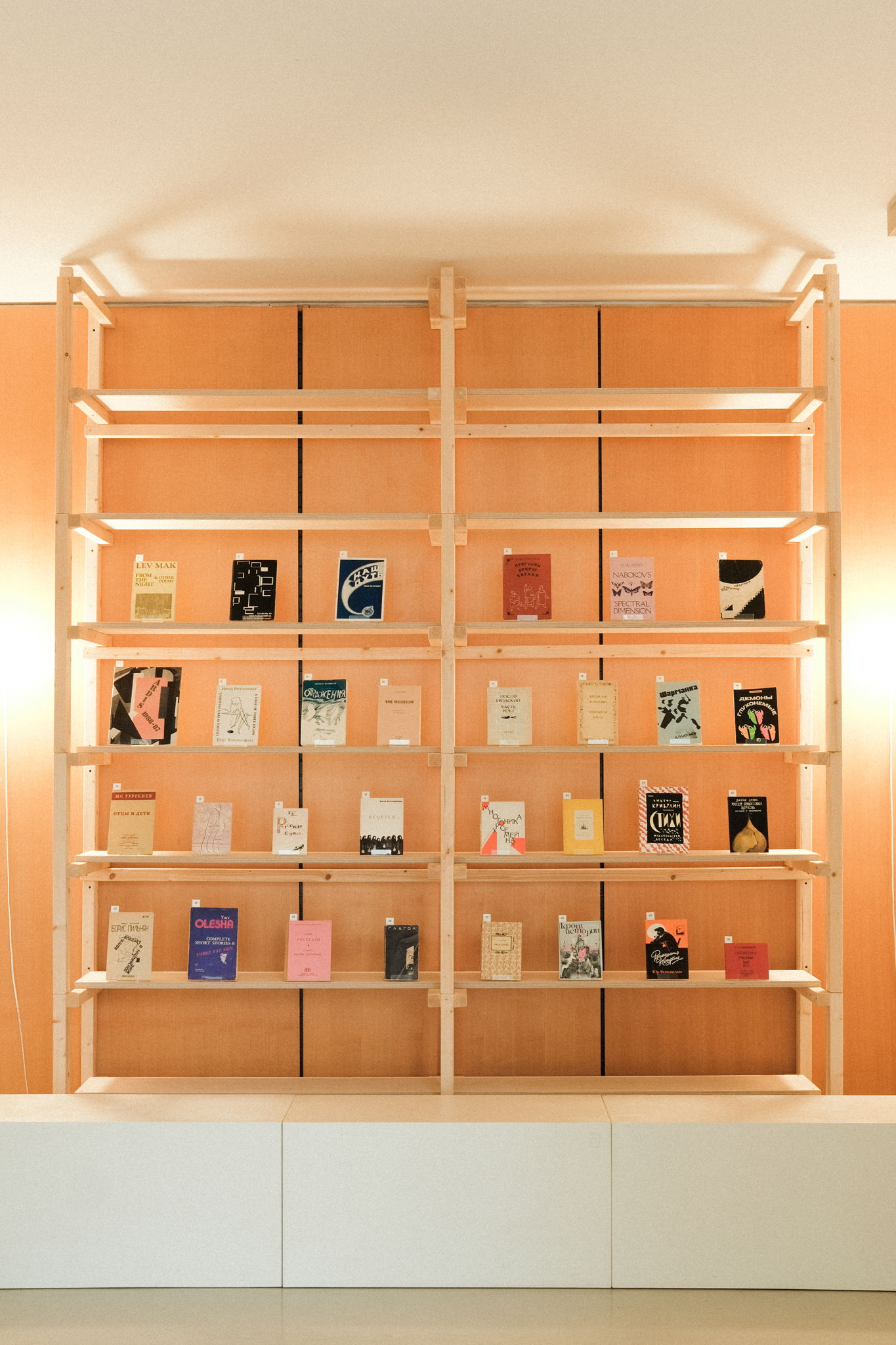 Рассказ о книгах от коллекционера Александра Гачкова