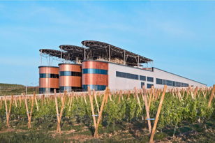Дегустация Alma Valley с Вероникой Смирновой