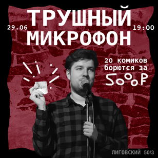 Трушный микрофон