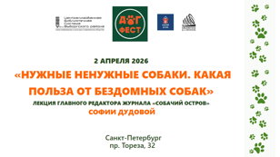 Нужные ненужные собаки. Какая польза от бездомных собак