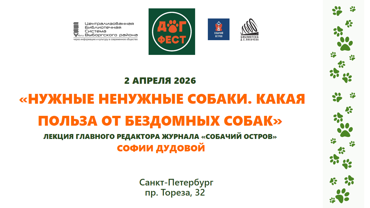 Нужные ненужные собаки. Какая польза от бездомных собак