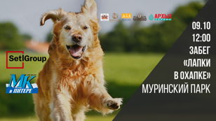 Забег «‎Лапки в охапке»