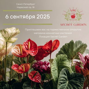 Торжественный день открытия локации "Secret Garden"