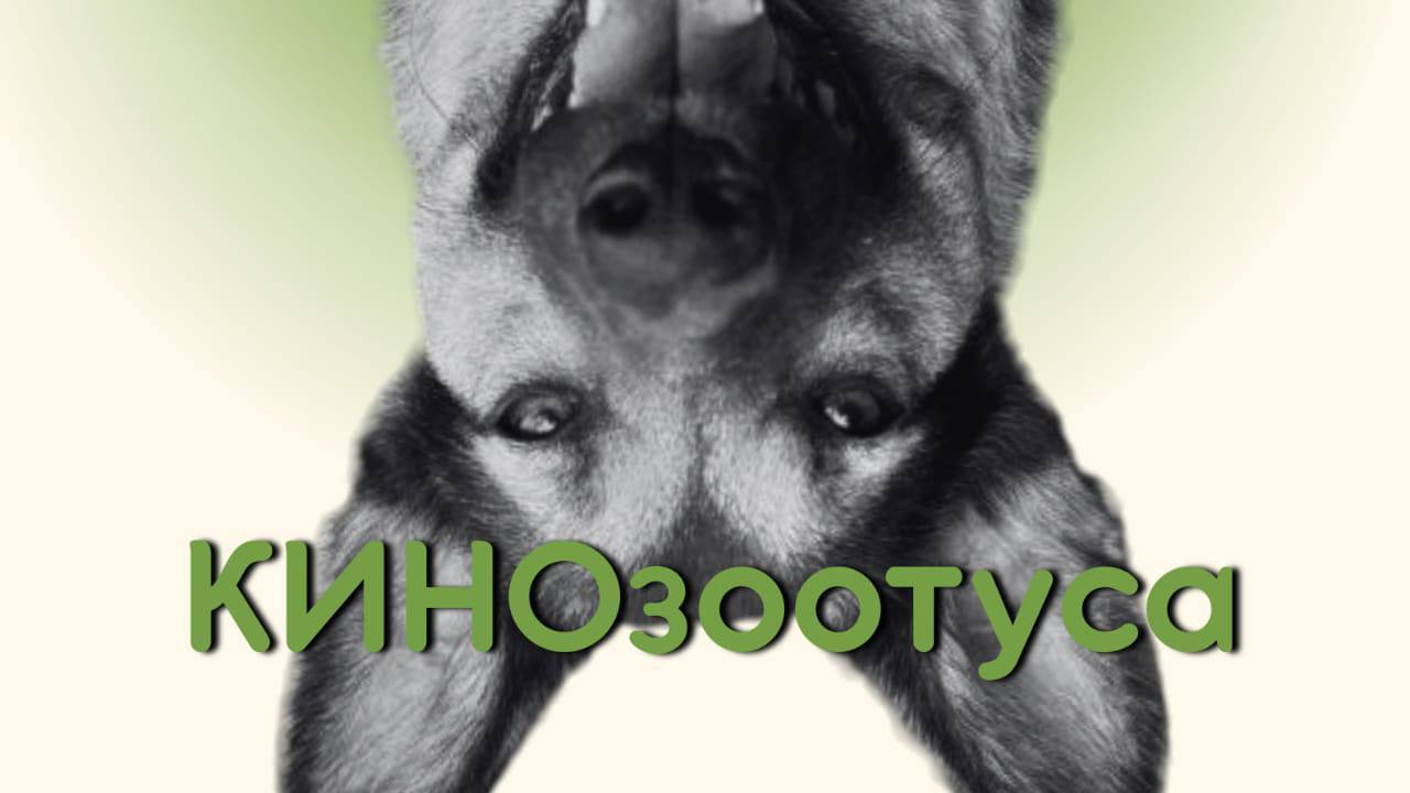 КИНОзоотуса