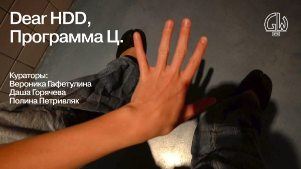 Dear HDD, / Цифровая оптика — программа &ampgt; курка / День 3