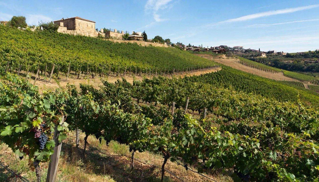 Русское вино взрывает индустрию