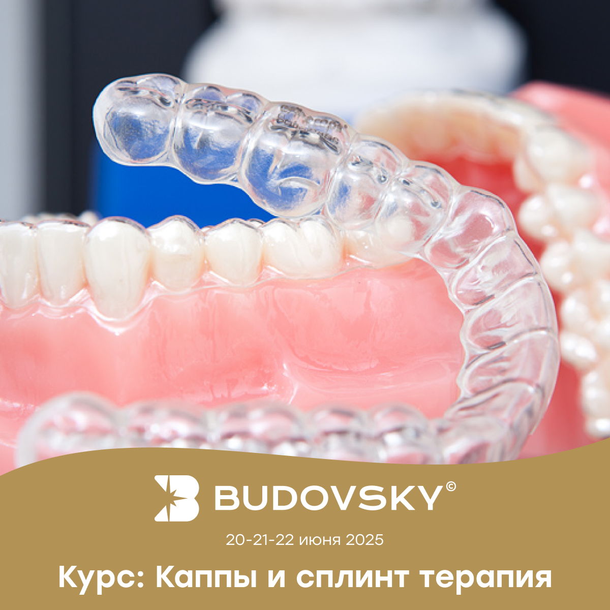 Курс: Каппы и сплинт-терапия