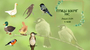 Зоомегаполис