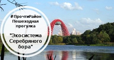 Экосистема Серебряного Бора