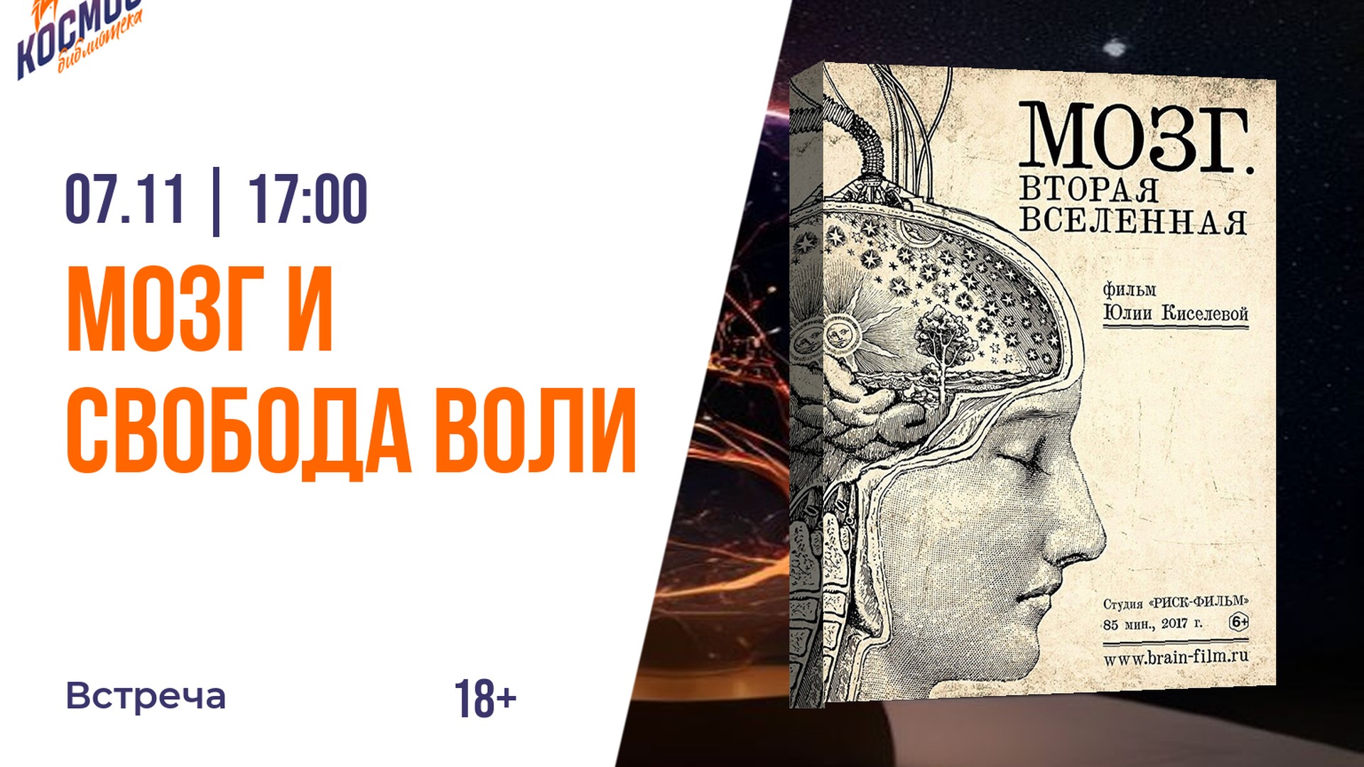 Мозг и свобода воли