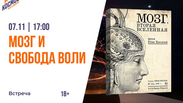 Мозг и свобода воли