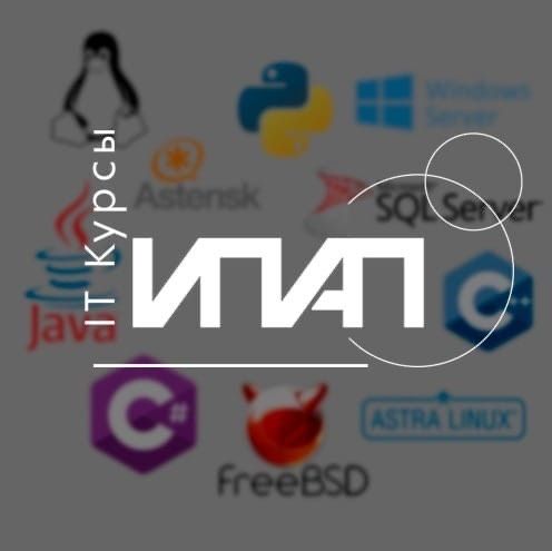 Курс Python (бесплатно) 144 академических часа