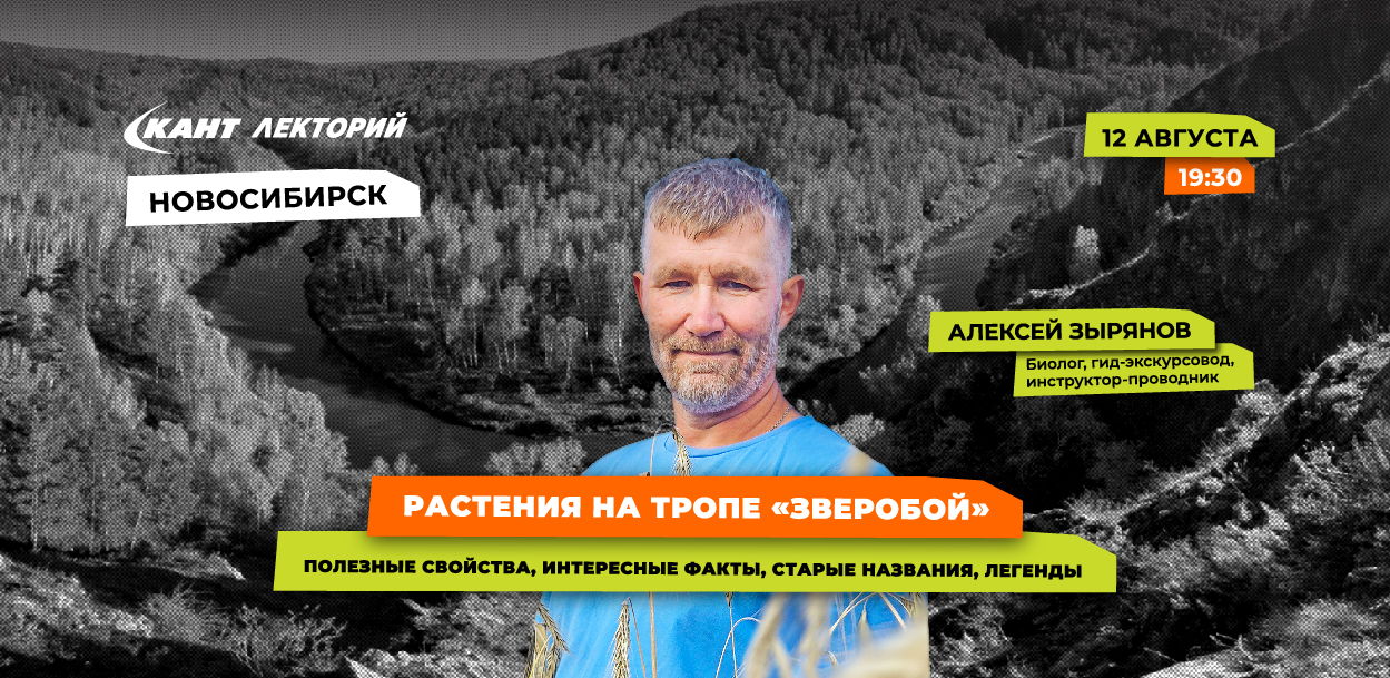 19:30 Новосибирск. Растения на тропе «Зверобой»