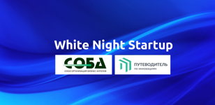 Финал конкурса White Night Startup