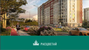 Большая встреча. Расцветай ЯНИНО. 
